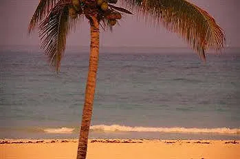 Xaman Ha Appartement Playa del Carmen 0*,